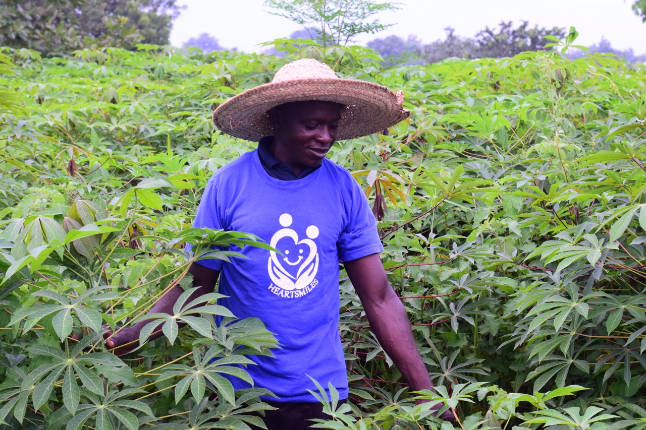 Tending the cassava plots at Heartsmiles Farms & Agro Products.